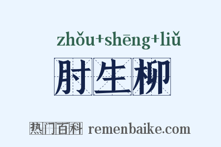 肘生柳是什么意思的图片